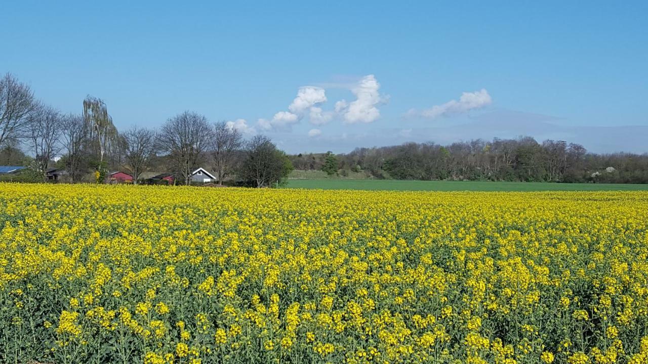 Gastezimmer Zum Neuenhof Köln